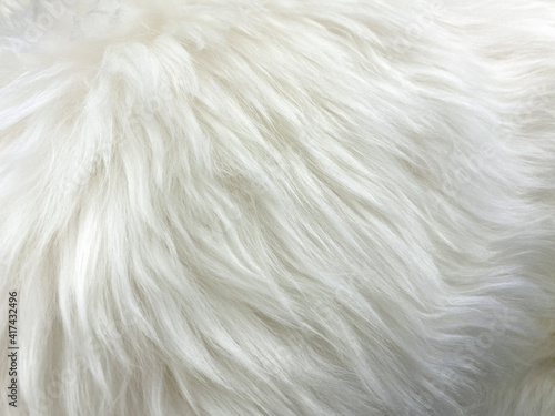 White artificial wool texture, soft fur for textiles. Background, texture