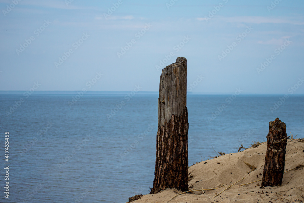 Charred broken wood on sea background 