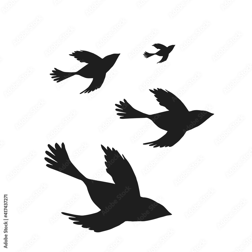 Digital silhouettes of birds. Bird vector illustration. Element for cricut. Digital silhouettes of birds. Bird vector illustration. Element for cricut.