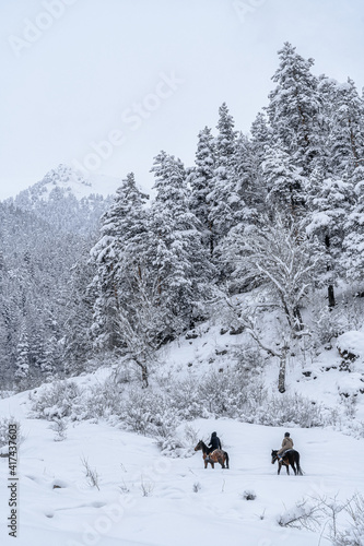 Winter horseback riding in the mountain forest. Trees in the snow. Two riders on horseback are walking through the snow. Winter mountain landscape