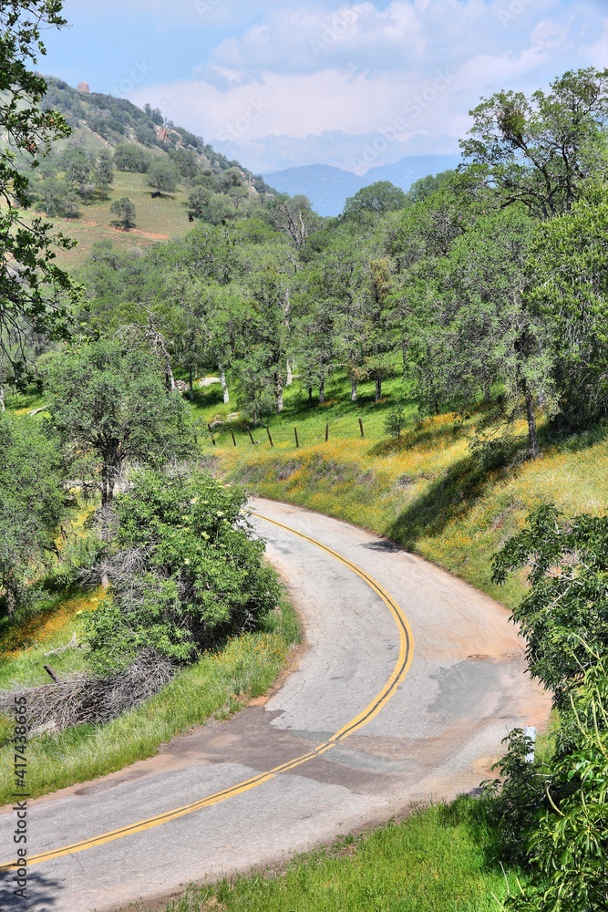 Rural American road - California countryside Rural American road - California countryside