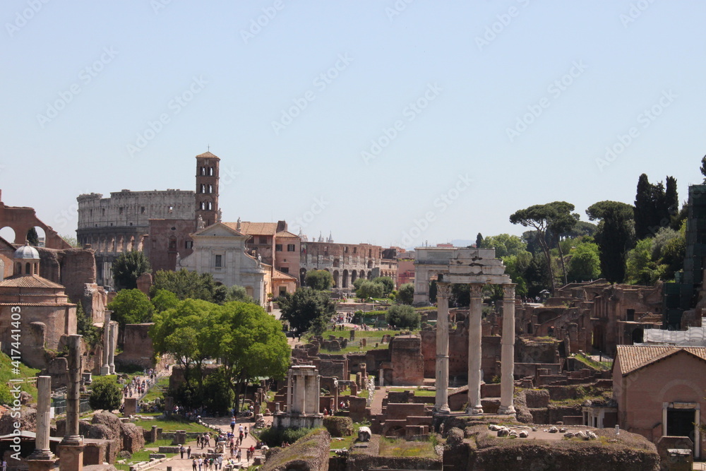 view of the ruins of the Roman Forum. Italy
