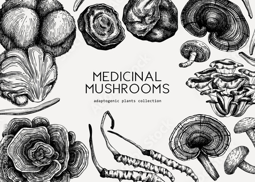 Medicinal mushroom illustrations background. Hand-sketched adaptogenic plants frame design. Perfect for recipe, menu, label, packaging. 