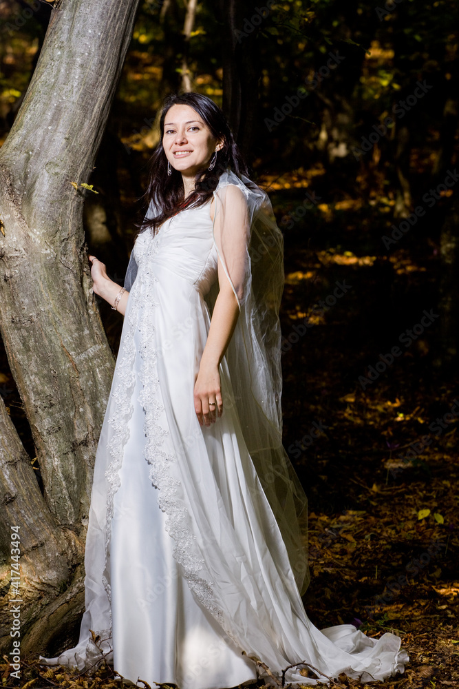 beautiful bride in wedding dress in amazing autumn landscape beautiful bride in wedding dress in amazing autumn landscape