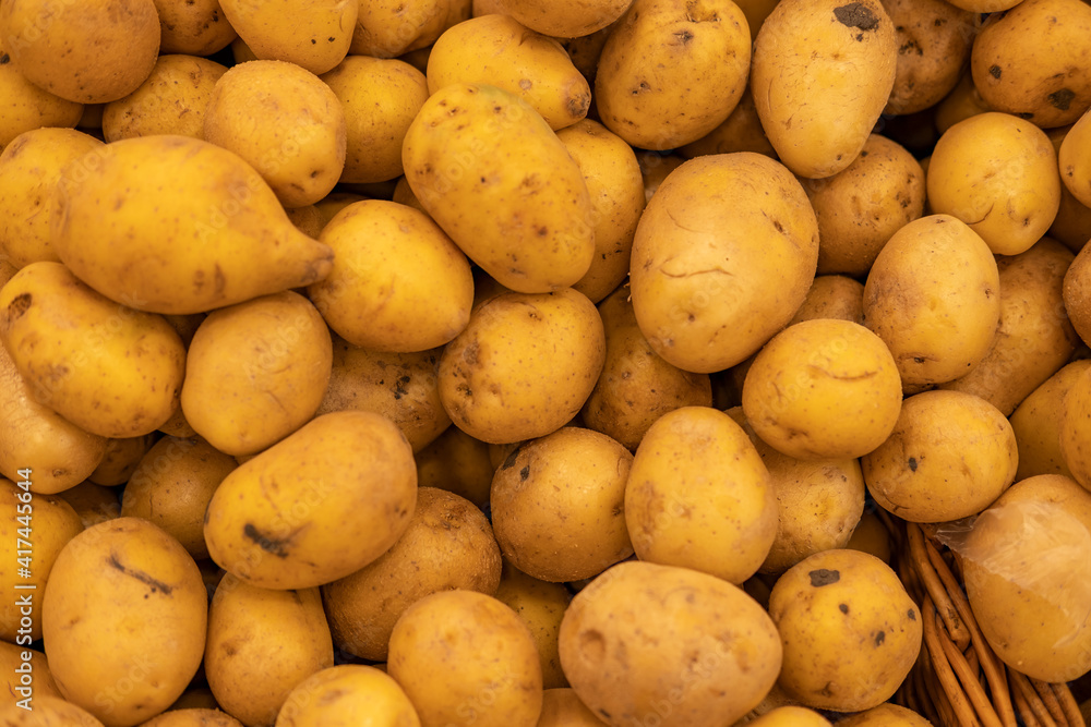 potatoes in a grocery store or market, with a shallow depth of field, top view, close up potatoes in a grocery store or market, with a shallow depth of field, top view, close up