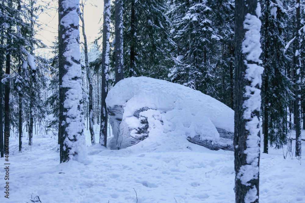 Fototapeta premium There is a large rock in the forest. February, 27. 2021.