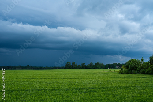 green meadow with storm clouds moving on