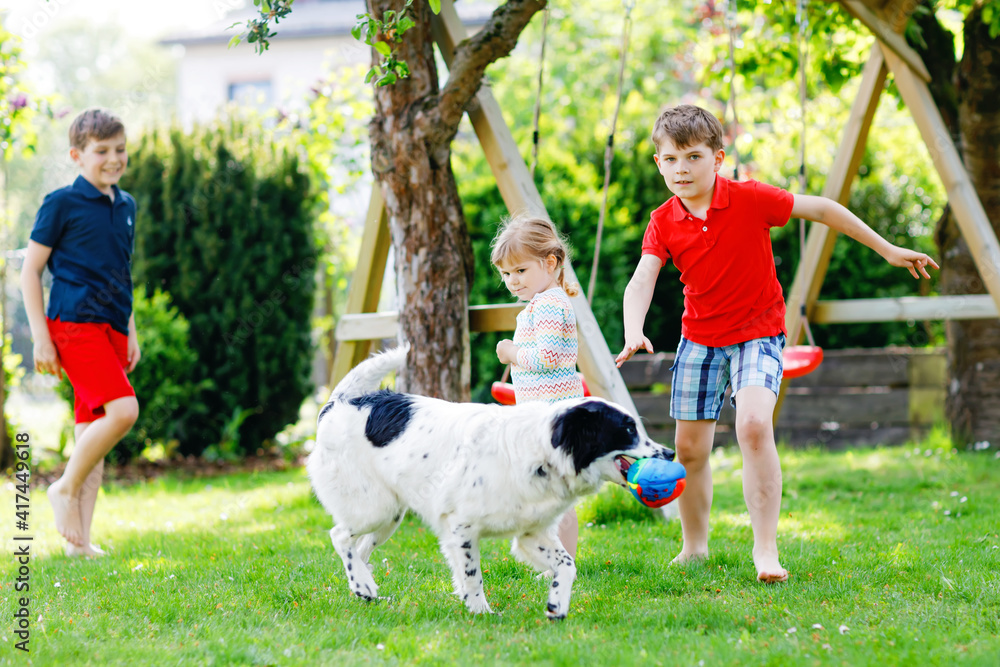 Obraz premium Two kids boys and little toddler girl playing with family dog in garden. Three children, adorable siblings having fun with dog. Happy family outdoors. Friendship between animal and kids