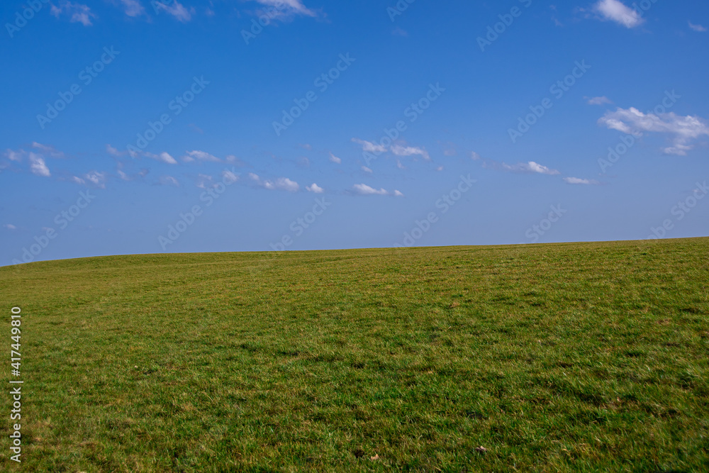 A green meadow with a blue sky and a few clouds