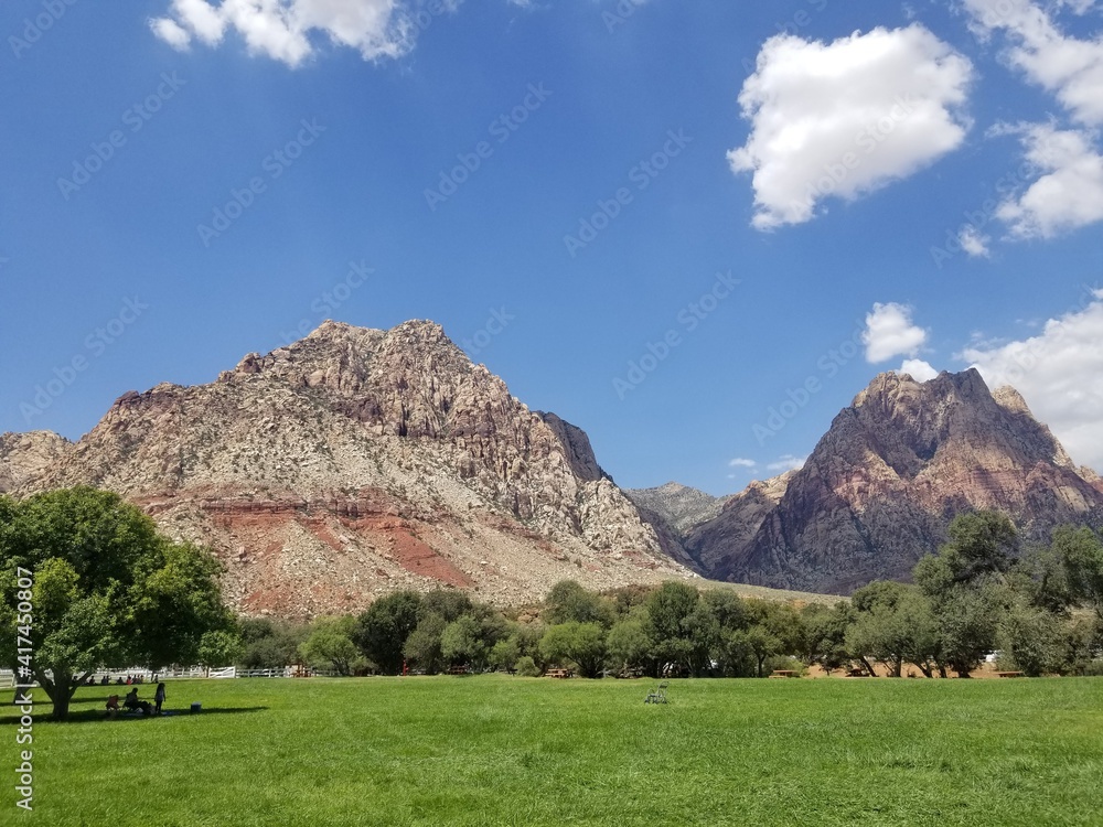 Fototapeta premium Red Rock Canyon Desert Landscape