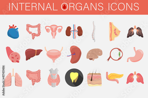 A set of more than a hundred icons of internal organs and parts of man. Icons related to medicine, training, individual human organs. Human Anatomy. Heart, brain, liver, kidneys, spine and other.