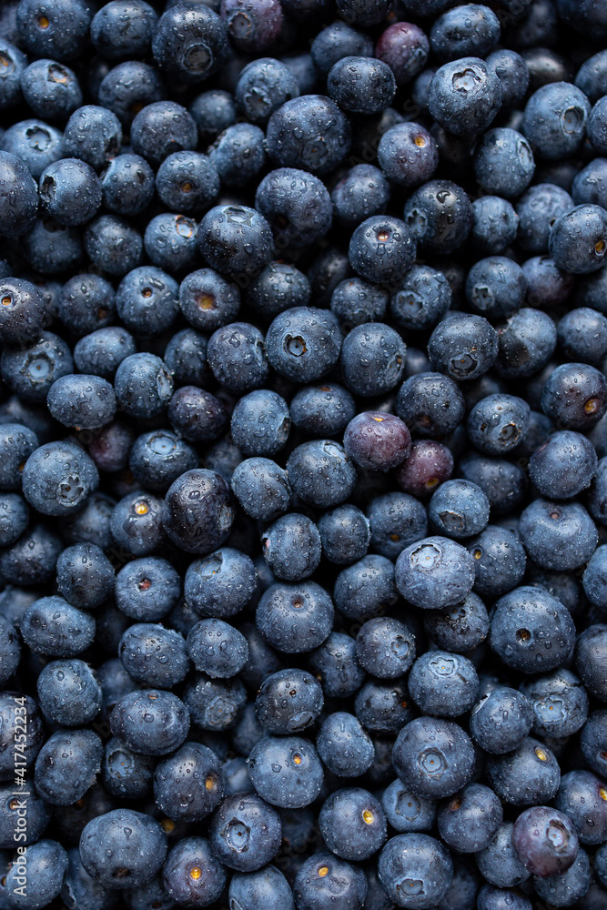 Blaubeeren von oben Blaubeeren von oben