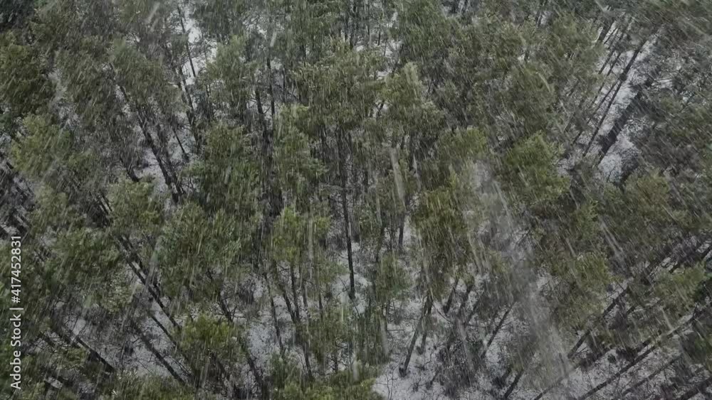 snow storm, Heavy snowfall over of the forest, snowfall, bad winter weather, camera tilt from high angle to top down view, aerial panorama 4K snow storm, Heavy snowfall over of the forest, snowfall, bad winter weather, camera tilt from high angle to top down view, aerial panorama 4K