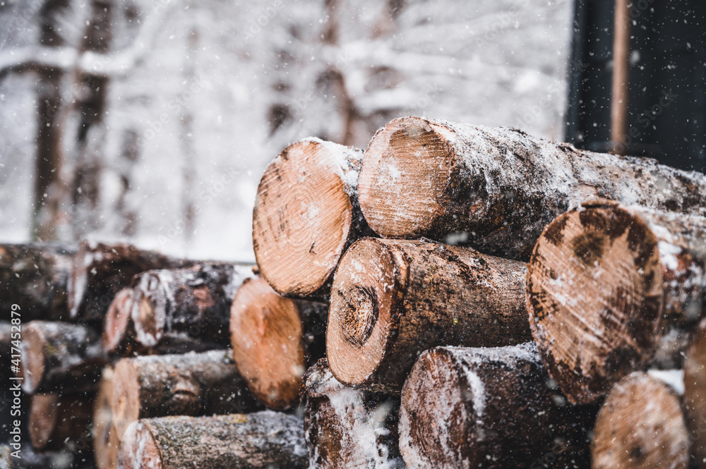 Log trunks pine pile, the logging timber forest wood industry. Banner of wood trunks timber harvesting in forest. Pine log closeup in winter forest. Log trunks pine pile, the logging timber forest wood industry. Banner of wood trunks timber harvesting in forest. Pine log closeup in winter forest.