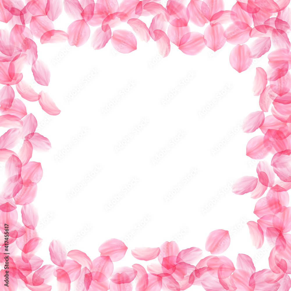 Sakura petals falling down. Romantic pink silky big flowers. Thick flying cherry petals. Square bord