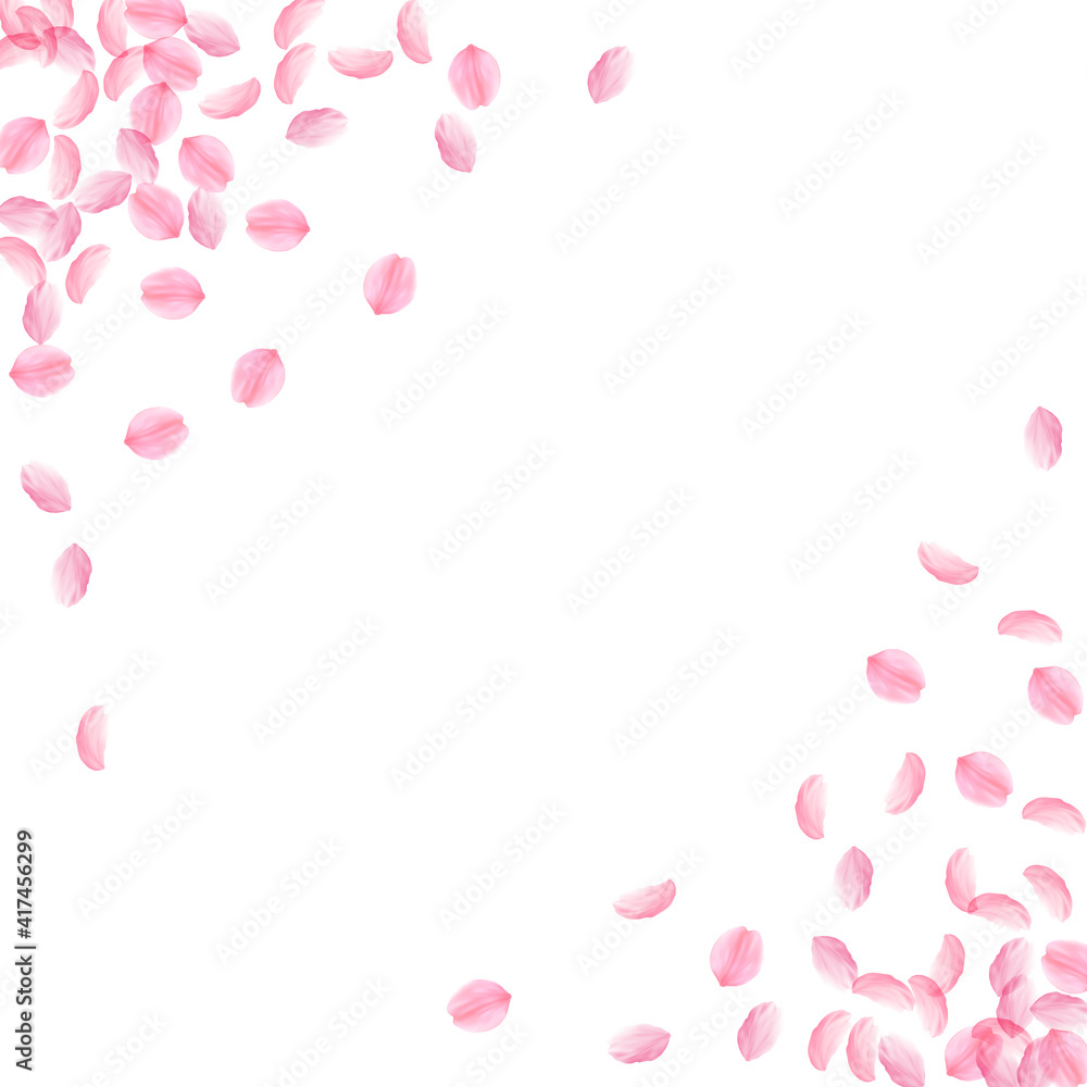 Sakura petals falling down. Romantic pink silky medium flowers. Thick flying cherry petals. Abstract