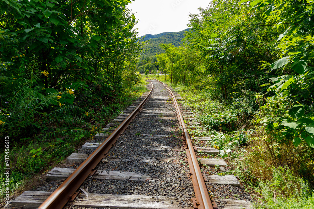Fototapeta premium Train Tracks in the Catskills.