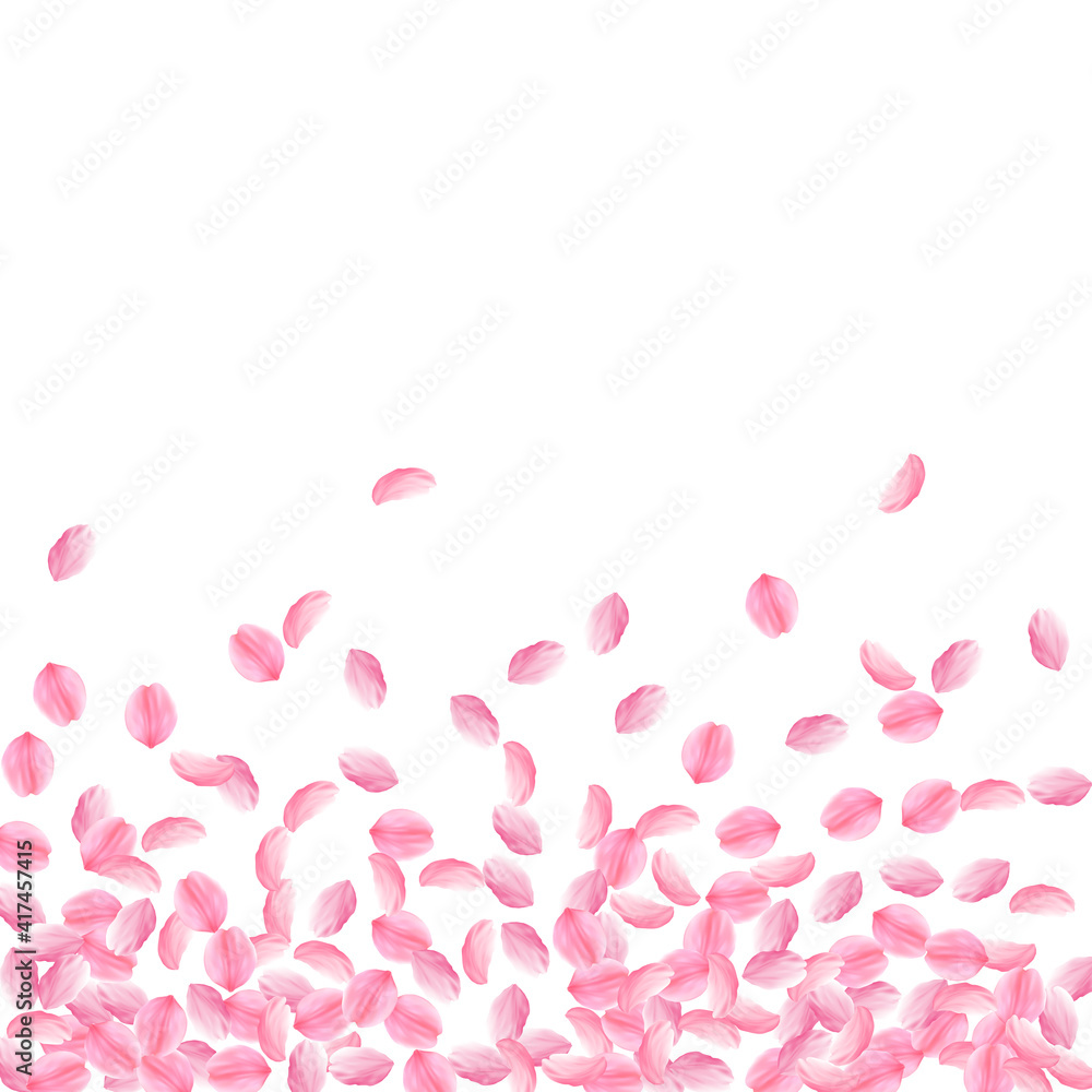 Sakura petals falling down. Romantic pink bright medium flowers. Thick flying cherry petals. Scatter