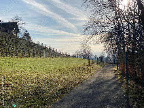 Recreational trails and promenades along the Au lake or Ausse and Zurich lake (Zuerichsee oder Zürichsee), Wädenswil (Waedenswil) - Canton of Zürich (Zuerich), Switzerland (Schweiz) photo