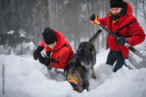 Quadro su tela Mountain rescue service with dog on operation outdoors in winter in forest, digging snow