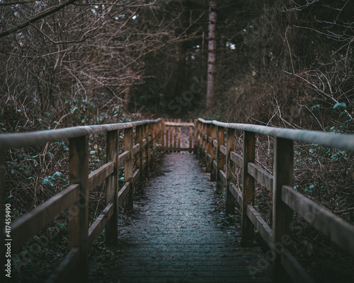 muddy wooden footbridge in a park with tall dense trees