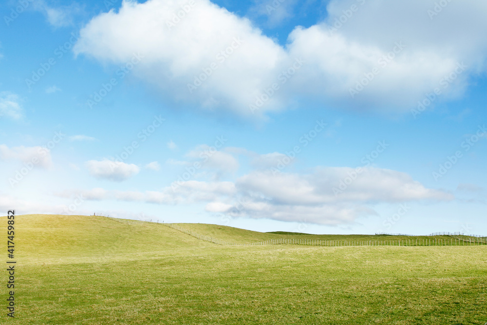 Grass and sky Grass and sky