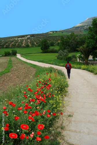 Camino. Primavera. Sendero.