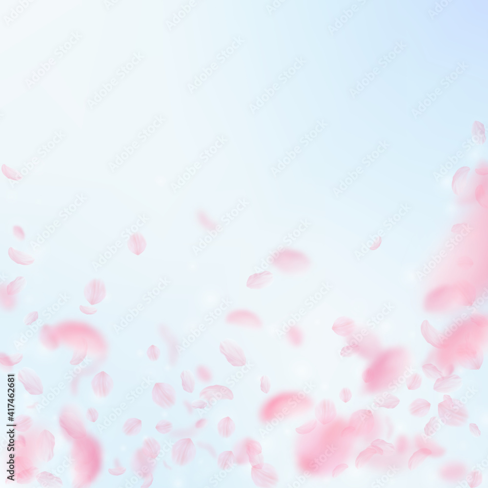 Sakura petals falling down. Romantic pink flowers falling rain. Flying petals on blue sky square bac