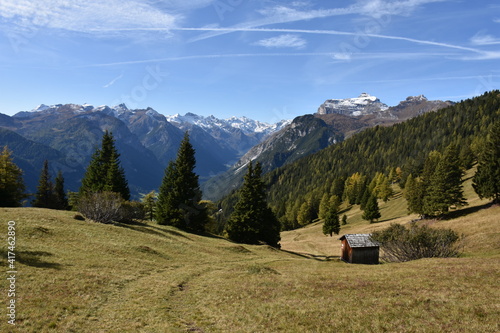 Am Brenner im Gschnitztal - Stadl mit Bergkulisse