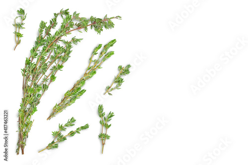 fresh thyme isolated on a white background with clipping path and full depth of field, Top view with copy space for your text. Flat lay