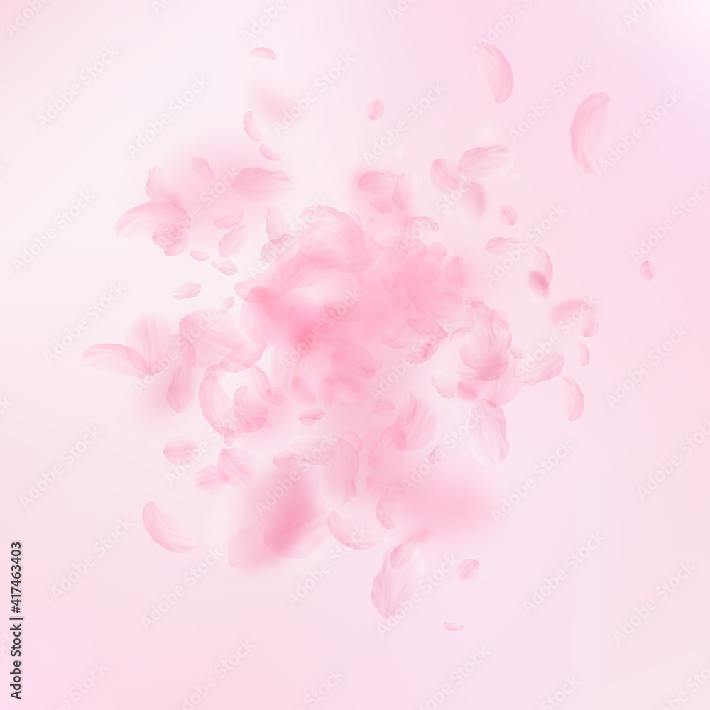 Sakura petals falling down. Romantic pink flowers explosion. Flying petals on pink square background