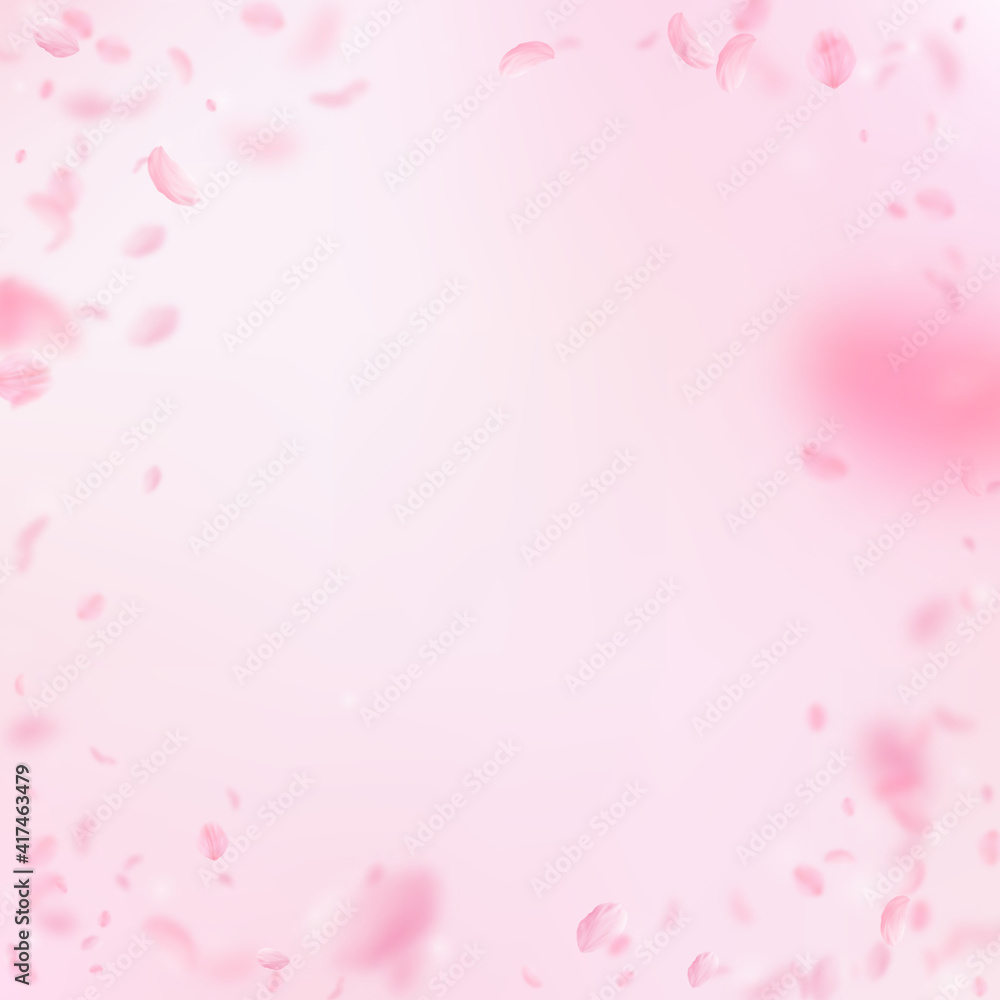 Sakura petals falling down. Romantic pink flowers vignette. Flying petals on pink square background.