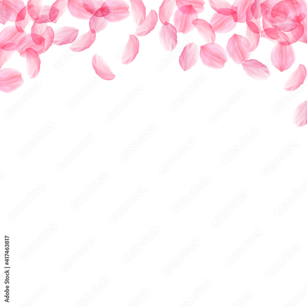 Sakura petals falling down. Romantic pink silky big flowers. Thick flying cherry petals. Square top Sakura petals falling down. Romantic pink silky big flowers. Thick flying cherry petals. Square top