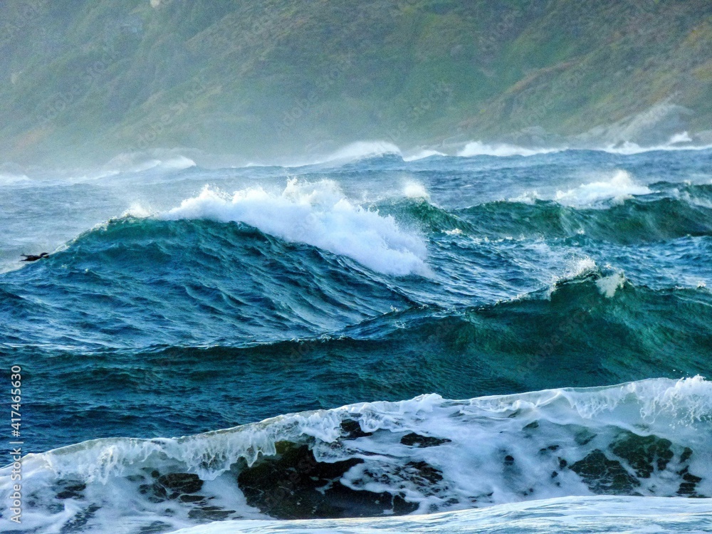 Fototapeta premium waves crashing on rocks