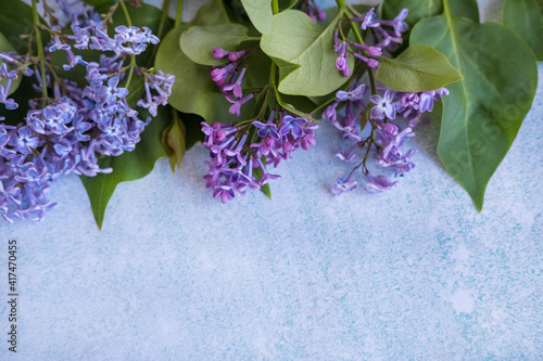 Background for inscriptions with branches of lilac close-up. Fresh spring branches of lilac on a blue background. View from above. Spring background with place for text. Frame for postcards