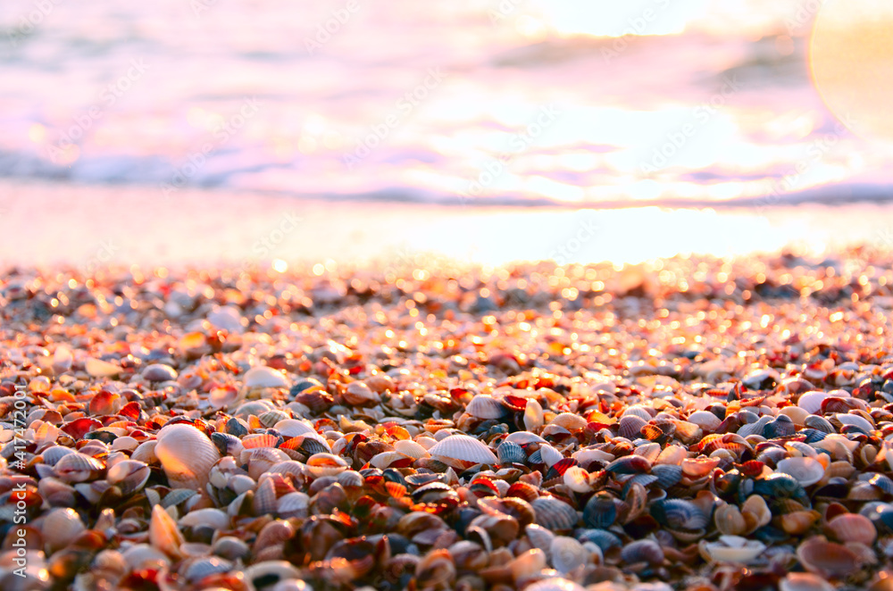 Seashell beach in the morning sunlight. Selective focus. Abstract summer background. Vacation concept.