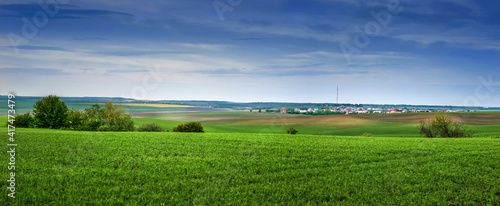 panorama of green field, farmland on the horizon in spring and blue sky