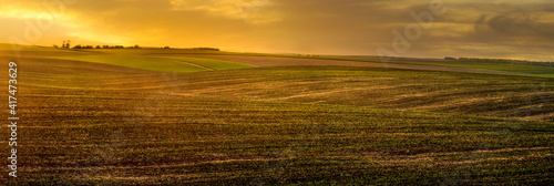 spring panorama of plowed field, evening light