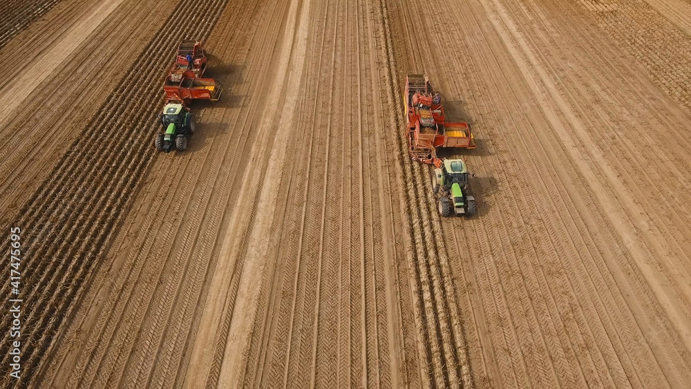 Obraz premium Farm machinery harvesting potatoes. Farmer field with a potato crop.