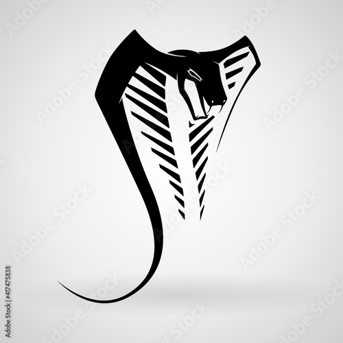 Vector snake logo template. danger snake icon. viper black silhouette. Furious cobra head sport vector logo concept isolated on white background. Modern military professional team badge design. 
