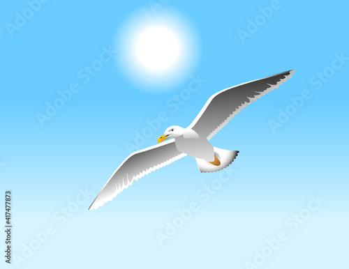 Seagull