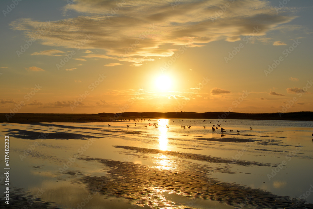 Sunset  over the sea with many birds  at low tide