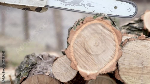 Close up of sawing a log with a chainsaw process.Wood cutting a chainsaw. Lumberjack cuts firewood with a saw. Side view