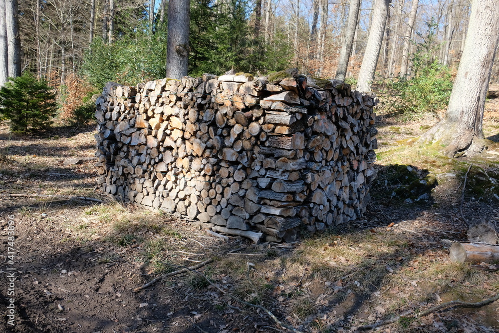 FU 2021-02-21 BMeKneipp 68 Holzstapel im Wald