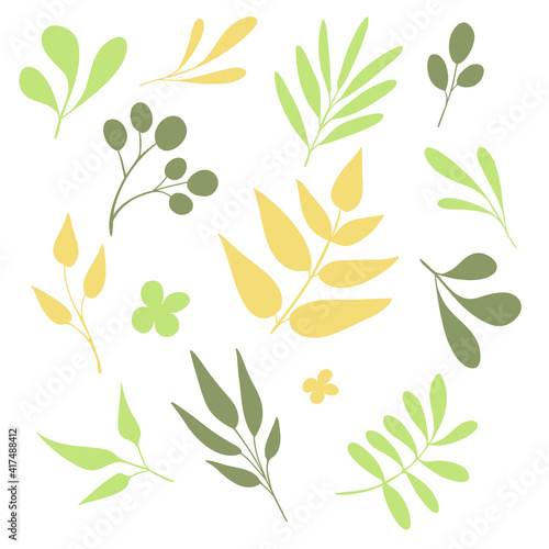 Different hand drawn tree leaves set. Hand sketched flat elements ( olives, fern, branches, feathers, tropical leaves ). Perfect for invitations, greeting cards, quotes, blogs, posters