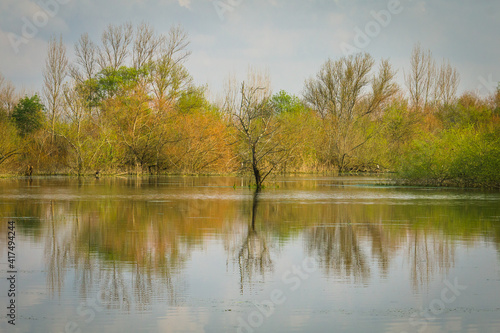 Riverside view with beautiful trees in the flooded plains of the natural park of Boquilobo. Natural wildlife reserve of Boquilobo, Portugal. photo