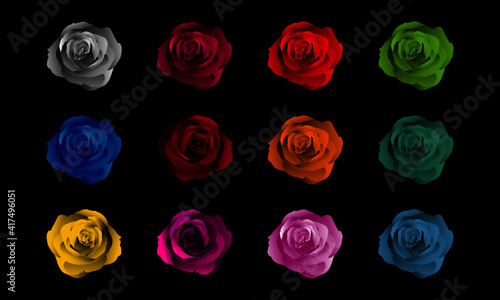Rosas 