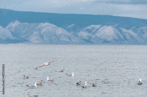 View of Lake Baikal in Siberia with a cape, cloudy sky and seagulls