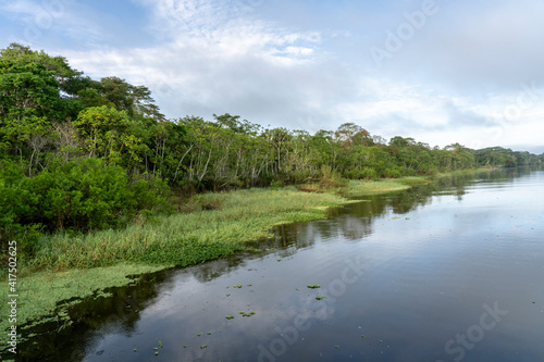 Amazon National Park  Peru. Maranon River rainforest landscape  with the riverbank lined with invasive water lettuce.