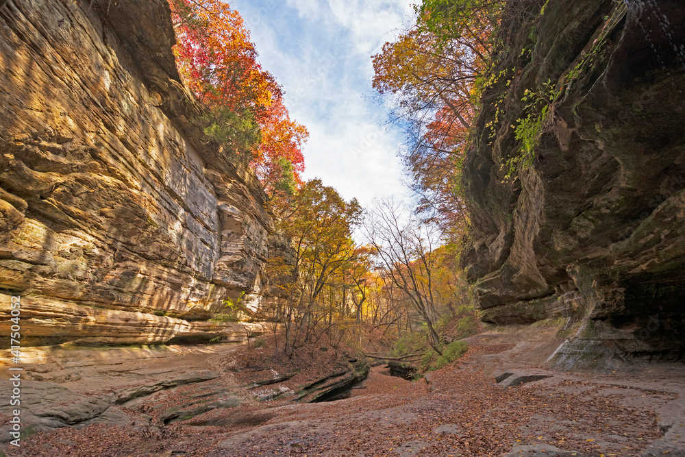 Obraz premium Autumn Peeking Over the Edges of a Secluded Canyon